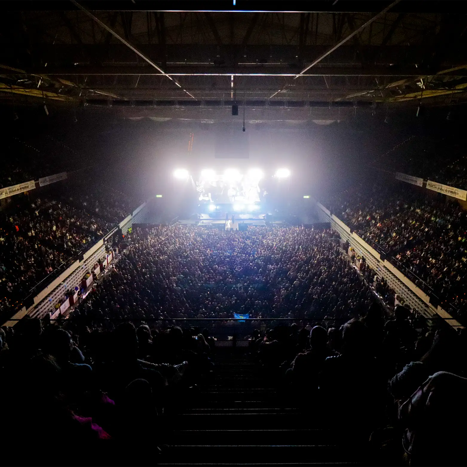 Imagen de Monkey Pro